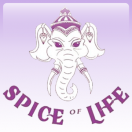 The Spice of Life Jersey
